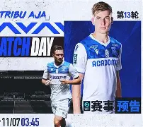 熊猫体育官方-甘冈绝杀尼斯，挽回颓势取得胜利