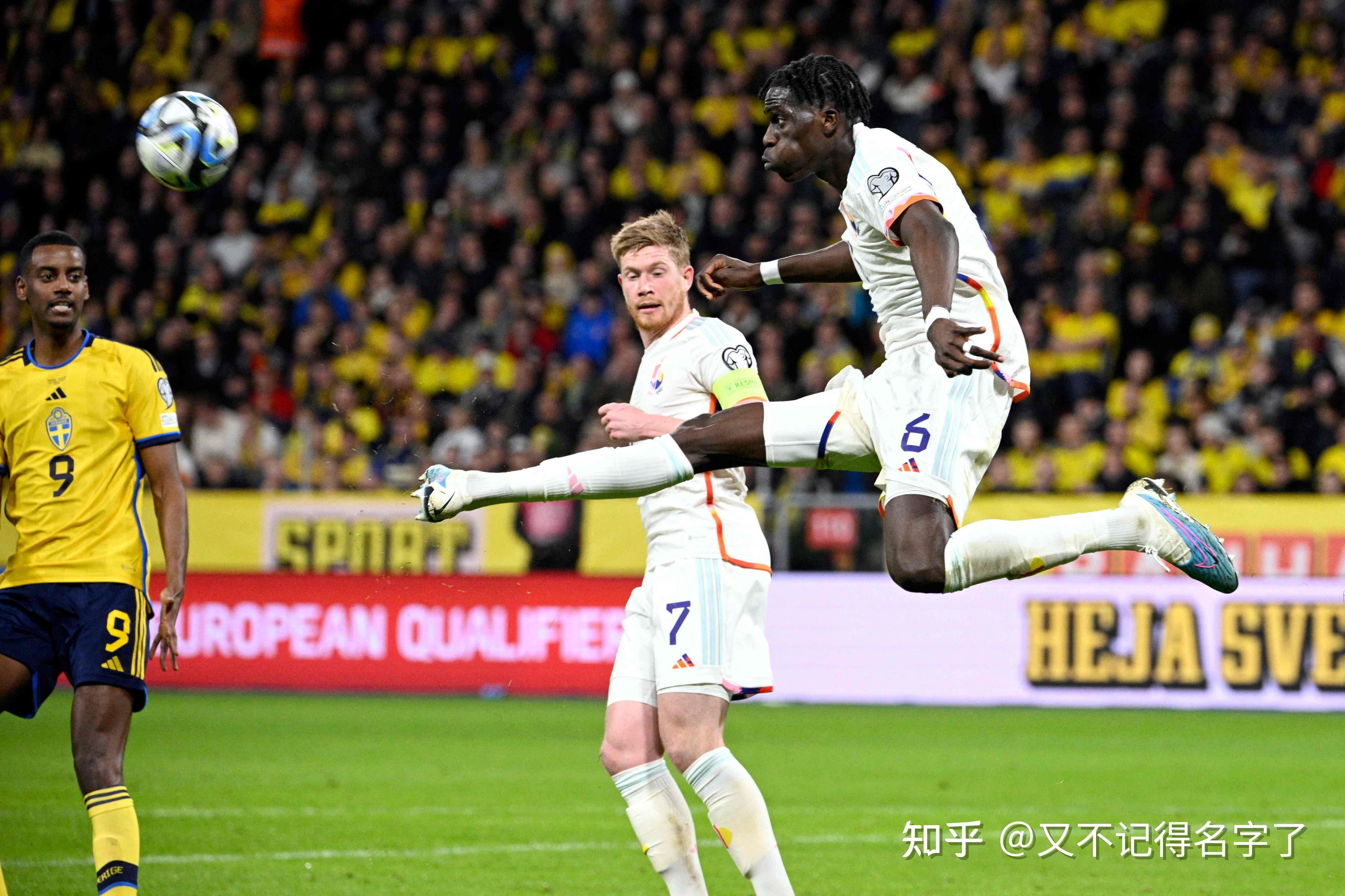 欧洲杯:瑞典与波兰握手言和 欧洲杯:瑞典与波兰握手言和