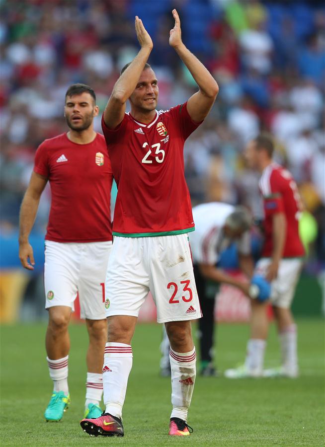 熊猫体育平台-阿格洛海河击败对手，打进欧锦赛淘汰赛