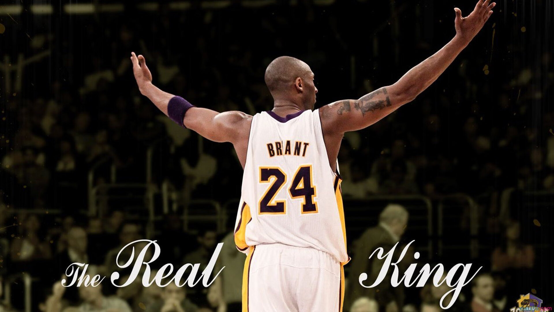 60分钟的神谕，切特一锤定音，2026世界杯之夜提前落入永恒