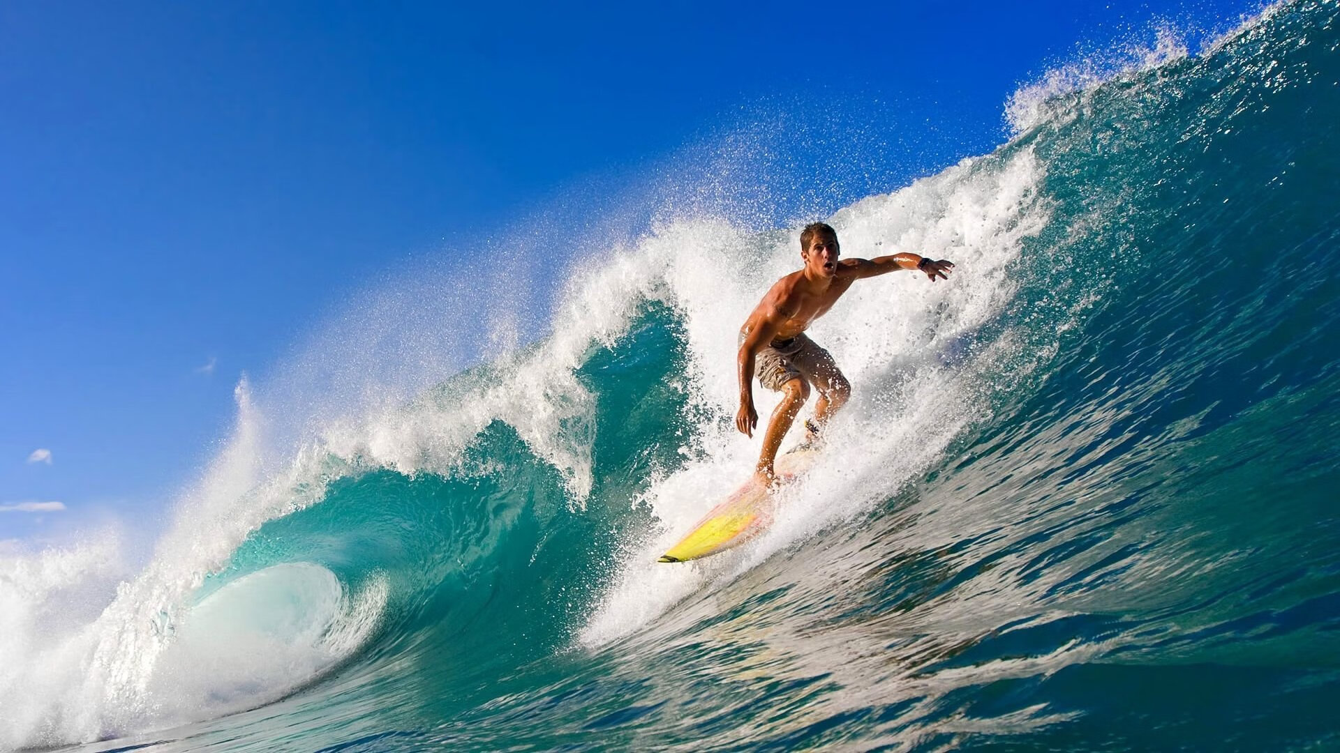 熊猫体育平台-绝境之王，布鲁诺一剑封喉，巴西高原征服玻利维亚